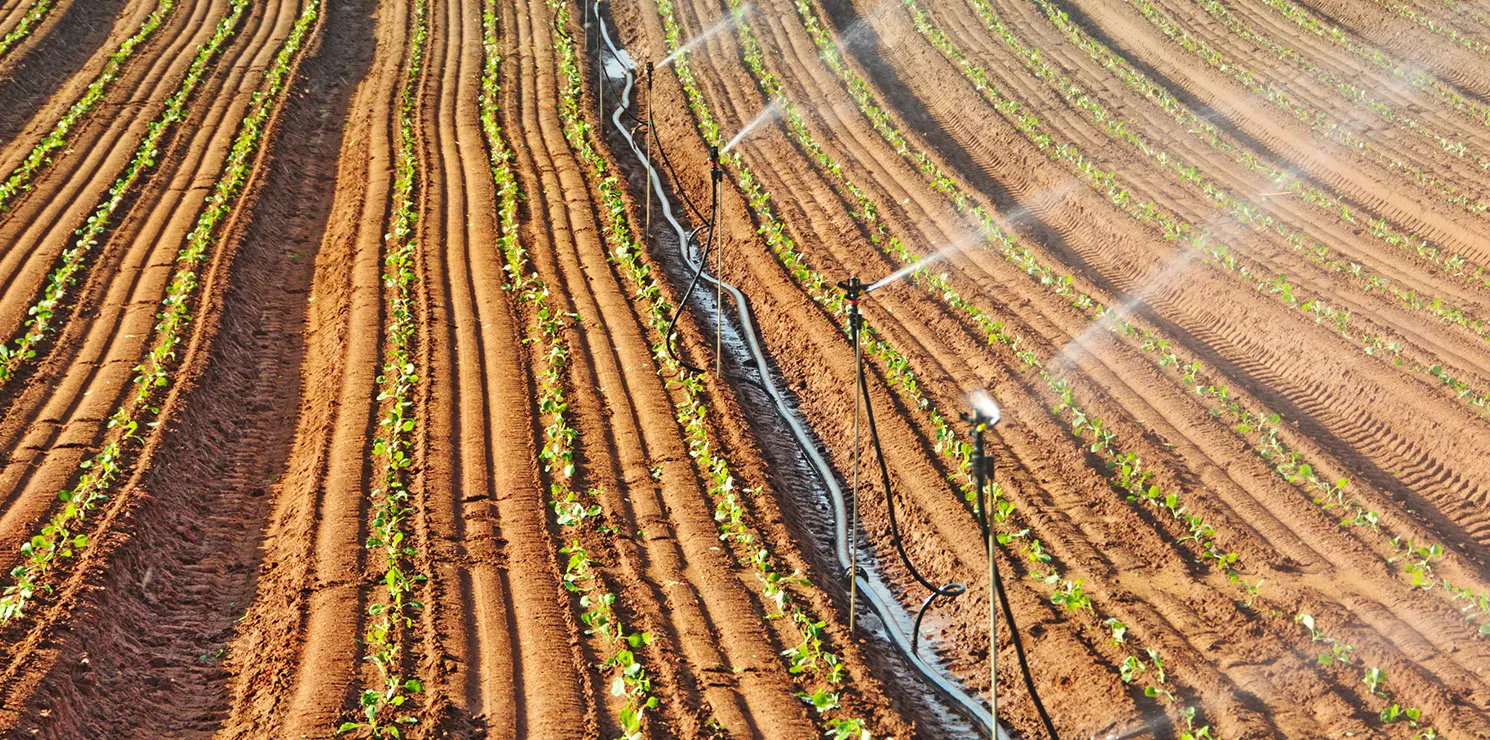 Agricultural